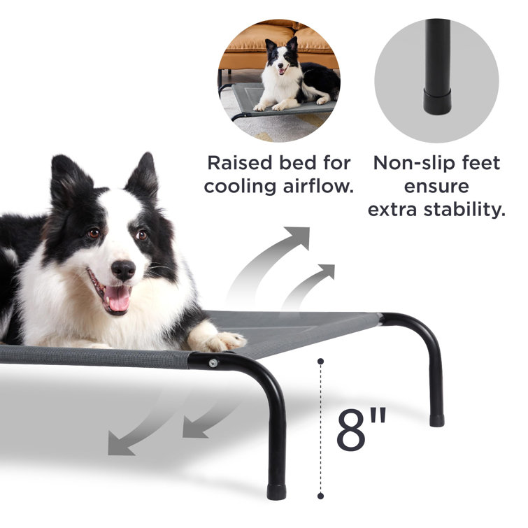 Dog shop hammock outdoor